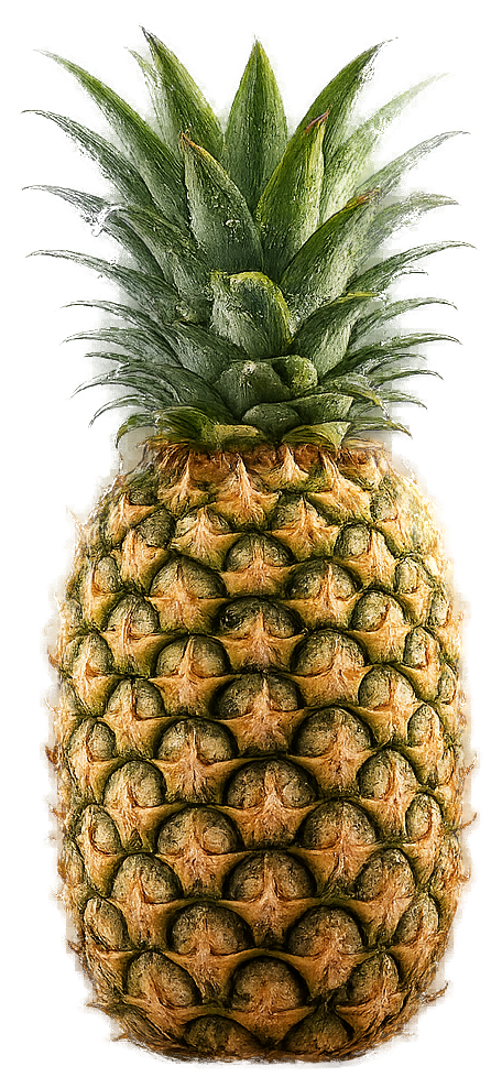 Premium whole Indian pineapple